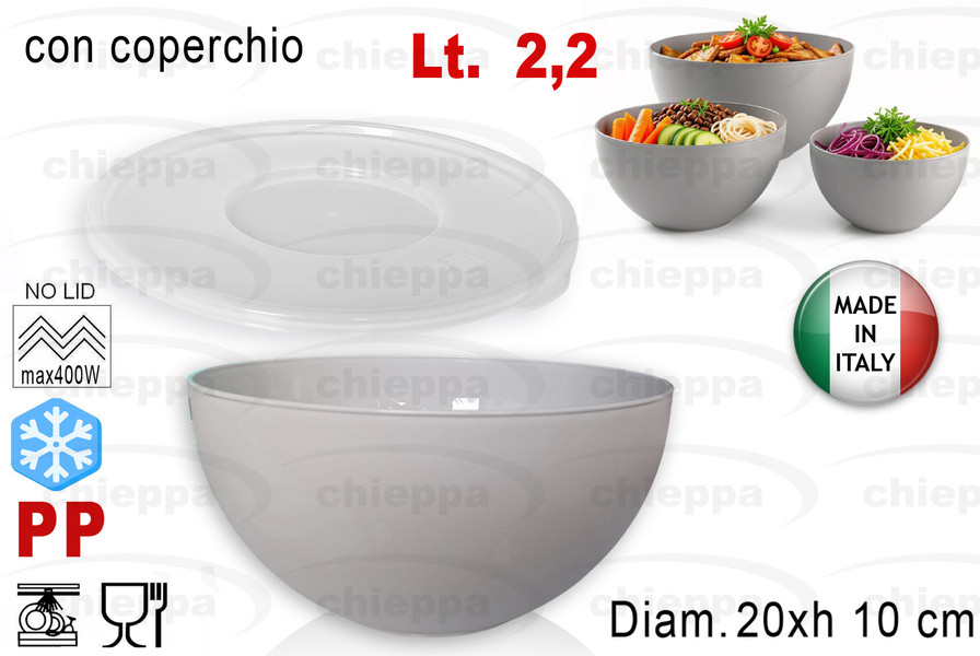 INSALAT.C/C 20 DOROTEA BF06130