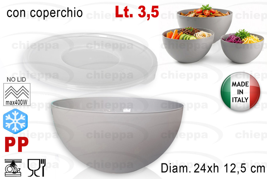 INSALAT.C/C 24 DOROTEA BF06140