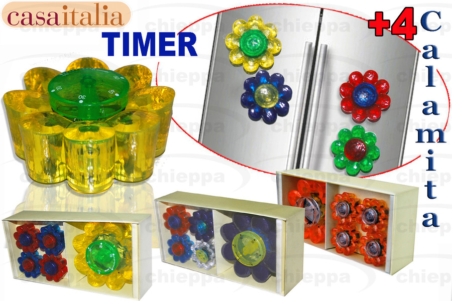 TIMER+4 MAGNETI ASS. C102320 *