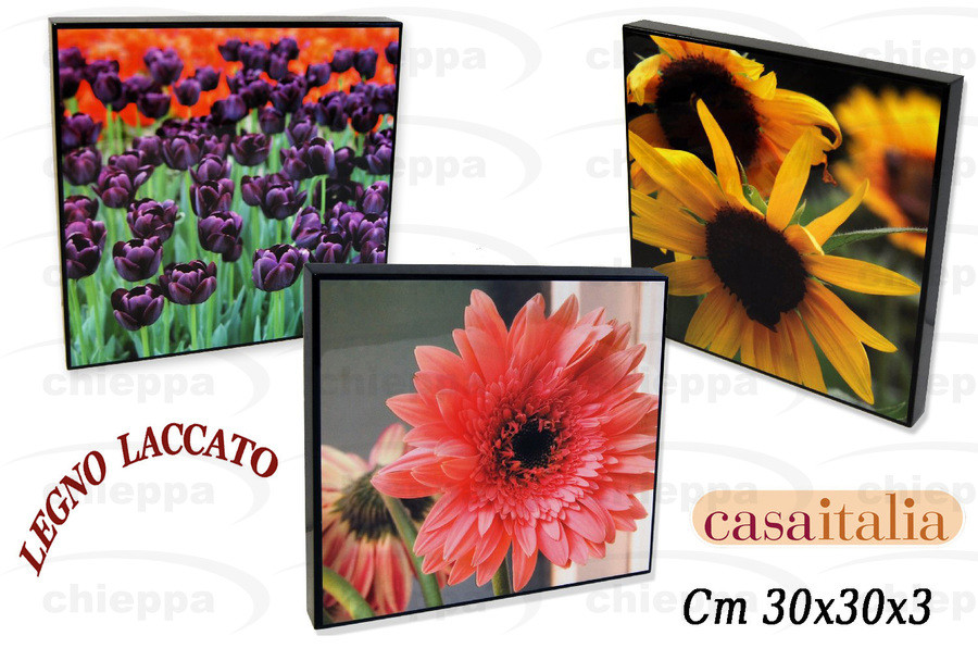 QUADRO 30X30 FIORI AS.C109540*