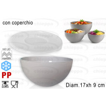 INSALAT.C/C 17 DOROTEA BF06120