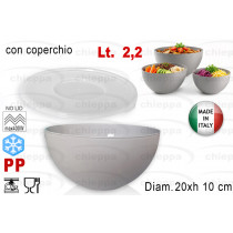 INSALAT.C/C 20 DOROTEA BF06130