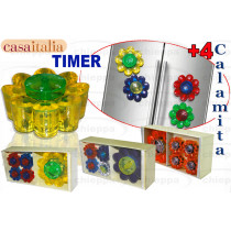 TIMER+4 MAGNETI ASS. C102320 *