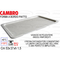 VASSOIO 53X37 POLIGRA.VPPB398*