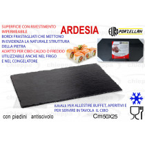 RETTANG.50X25  ARDESIA CK1806=