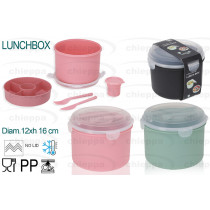 LUNCHBOX 12X16 ASS.  101004270