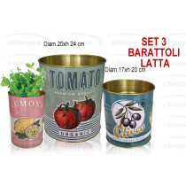 CONTEN.3PZ GR.TOMATO 170494890
