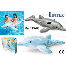 DELFINO CAVALCAB.175X66  58535