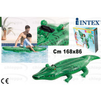 COCCODRILLO CAVAL.168X86 58546